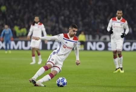 果的展示 果的展示